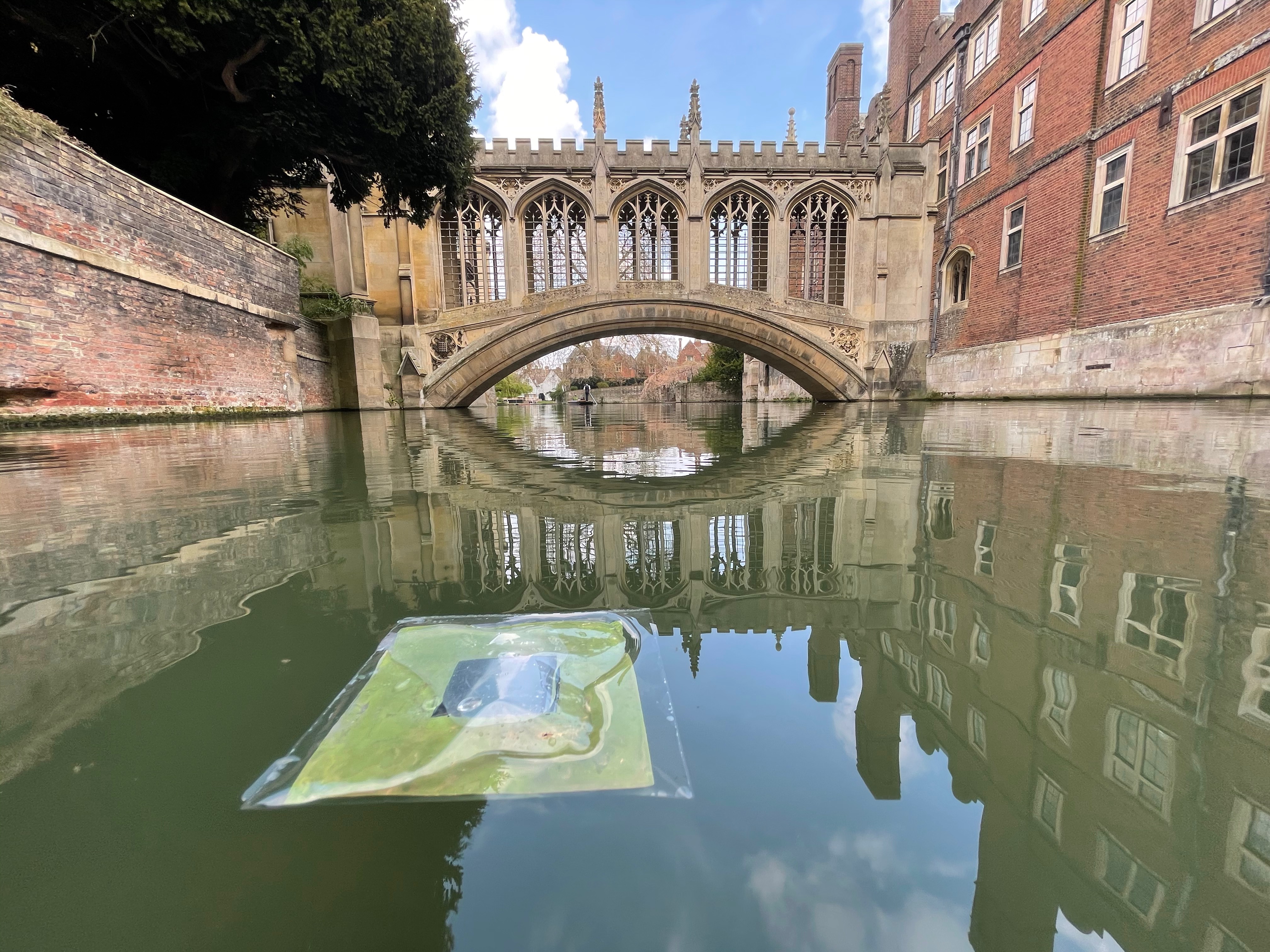 Artificial leaf in front of the Bridge of Sighs