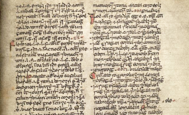 A manuscript written in Medieval Irish