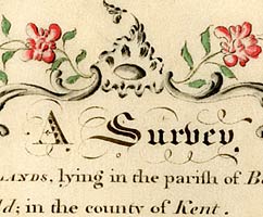 A survey of lands in the parish of Babchild, Kent. [1788] (MPS2-1)